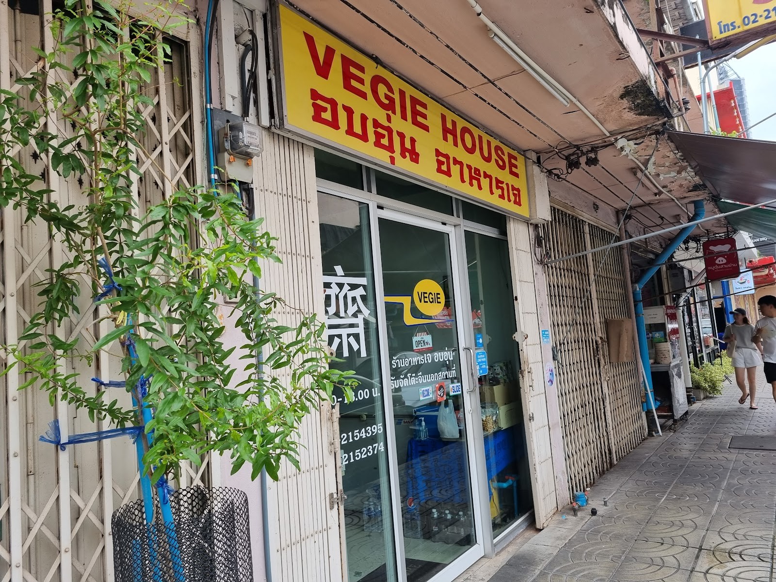 Vegie House: the place