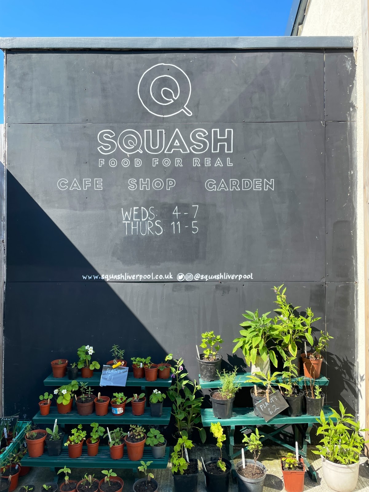 Squash Cafe & Shop: the place