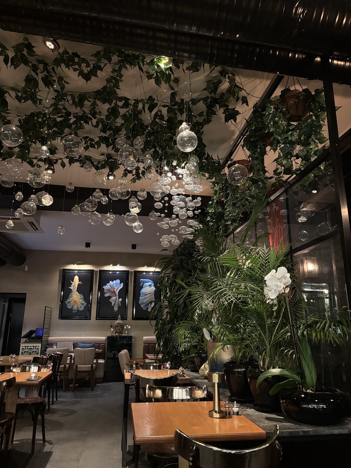 San Thai Restaurant: the place