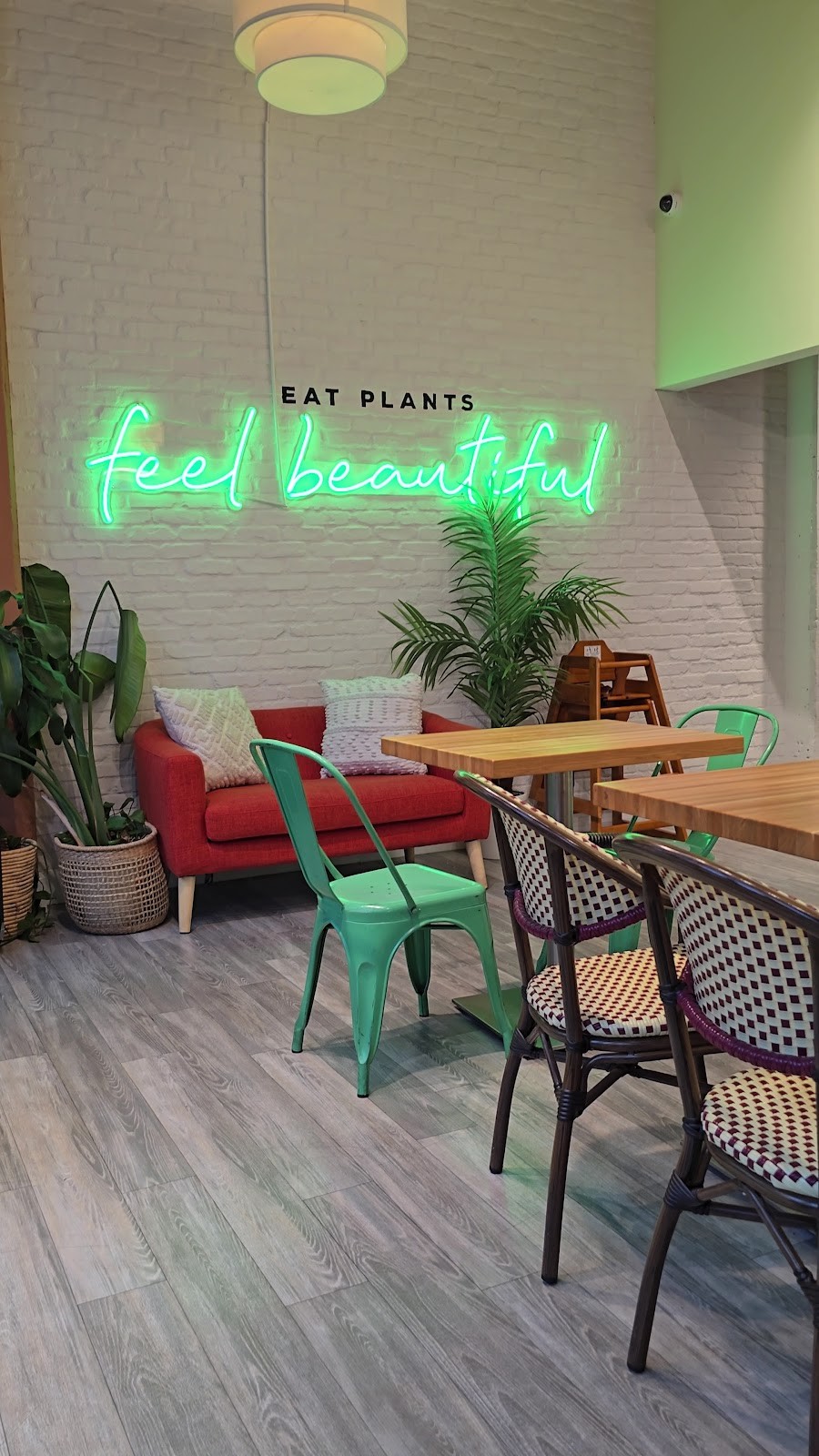 elephant + vine: the place
