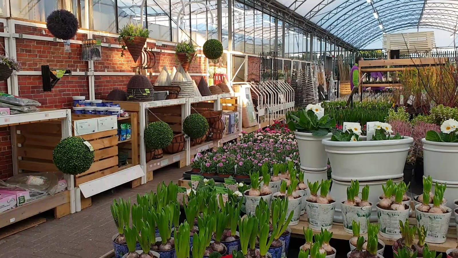 Dobbies Garden Centre Brighton: the place