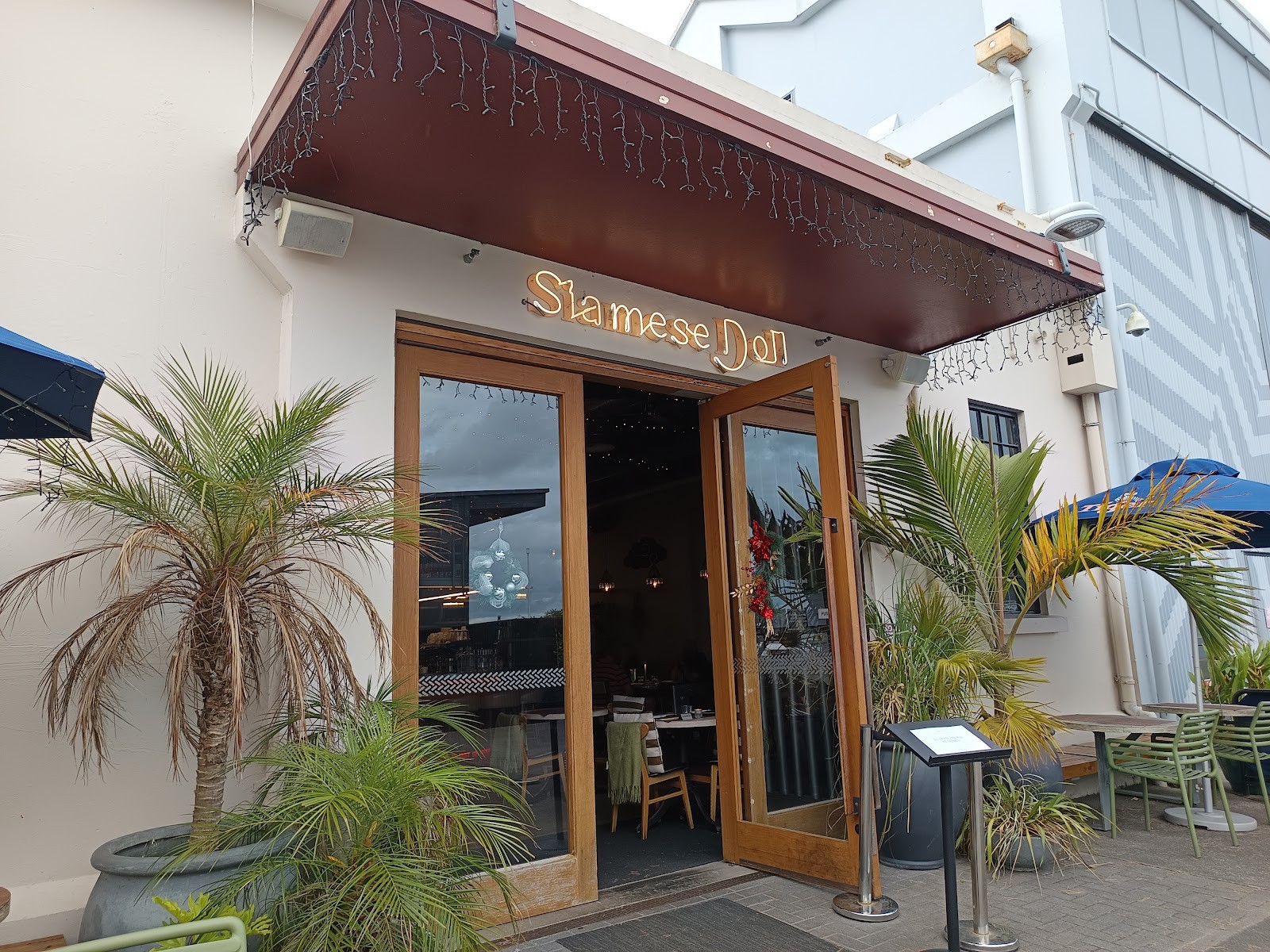 Siamese Doll: the place