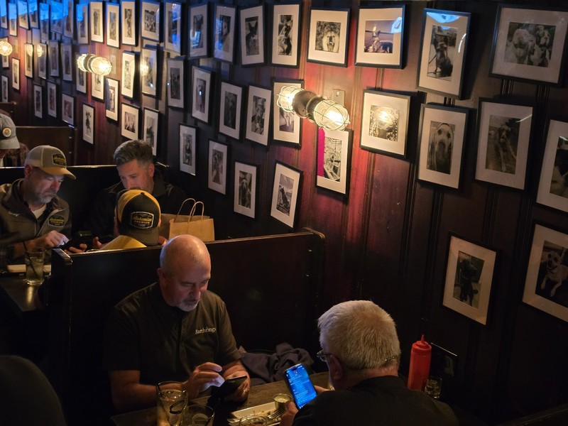 Good Dog Bar: photo 4