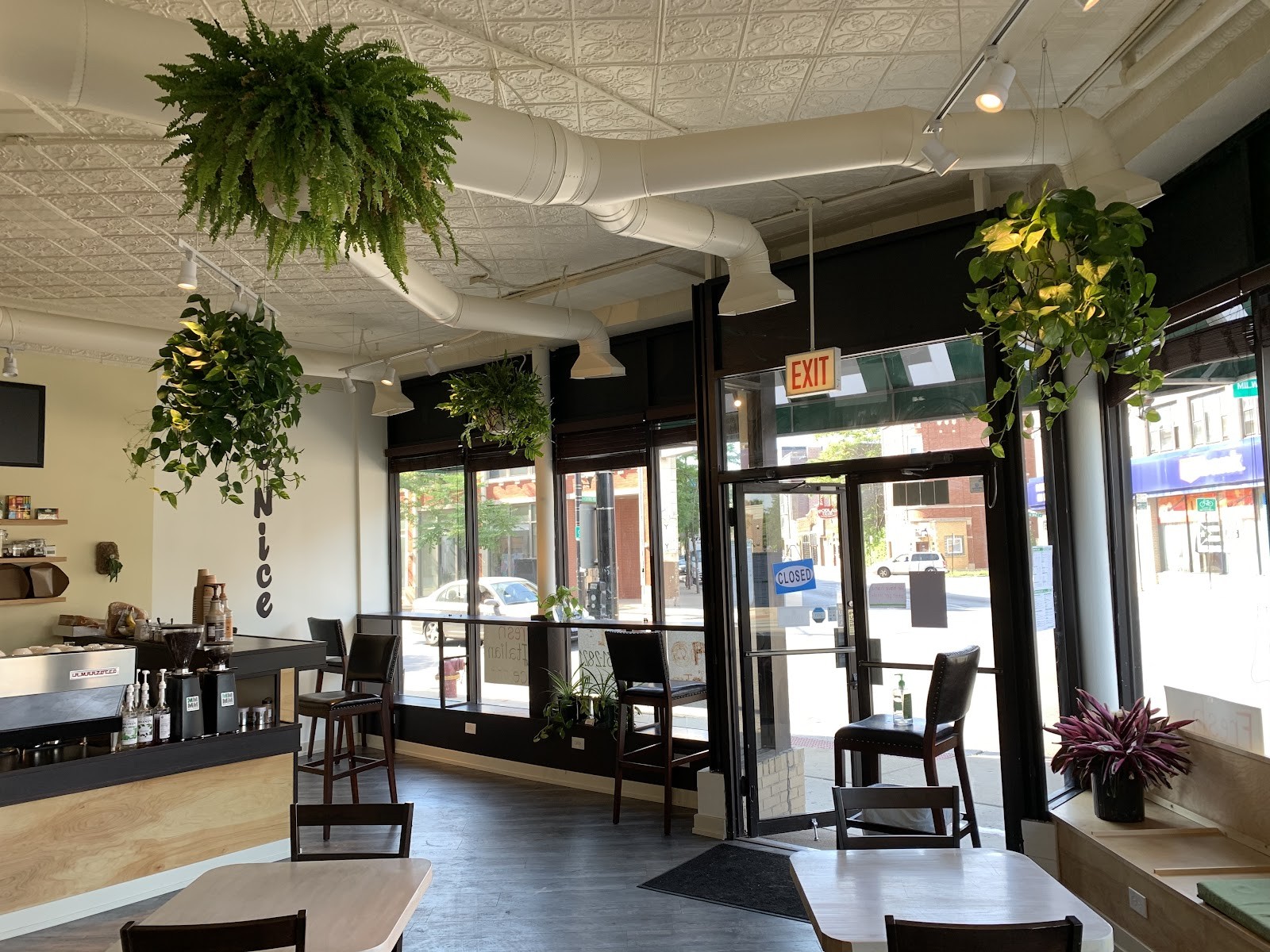 Sipping Turtle Cafe: the place