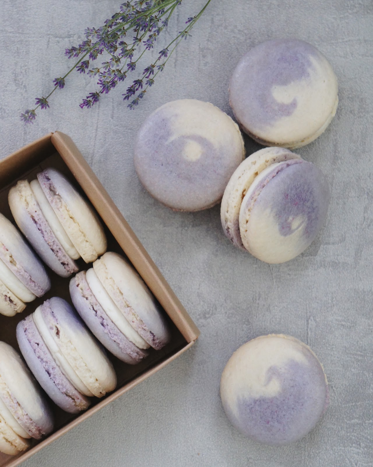 Denver Macaron: food & drinks