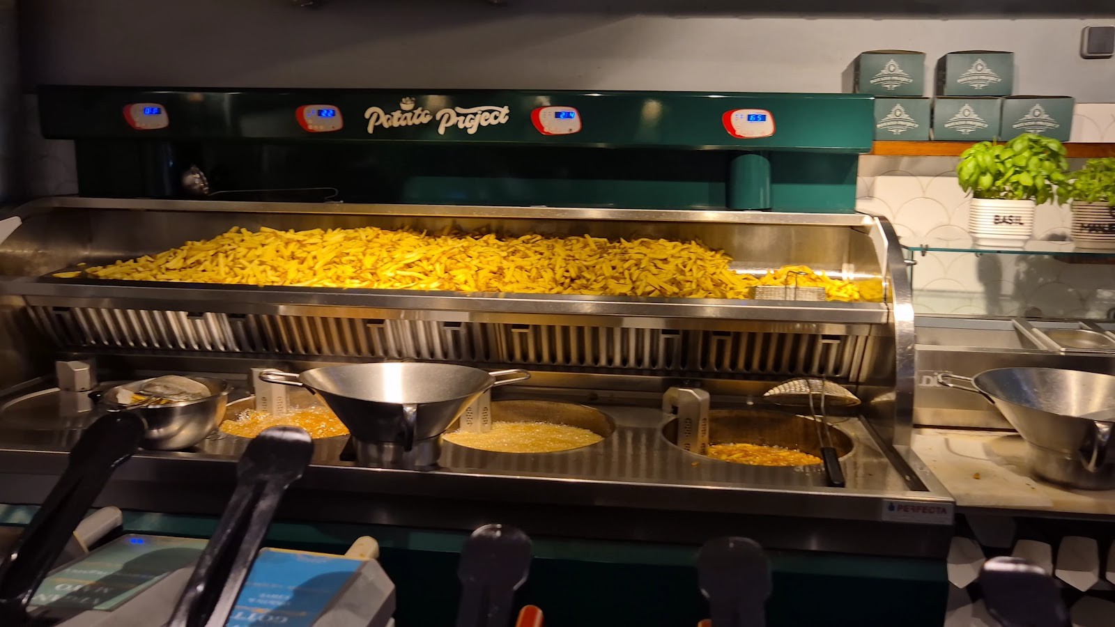Potato Project: the place