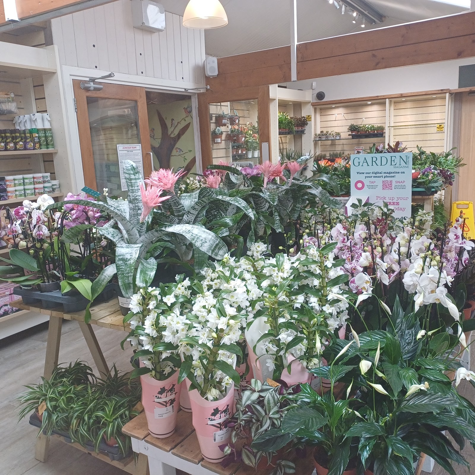 Langlands Garden Centre: the place