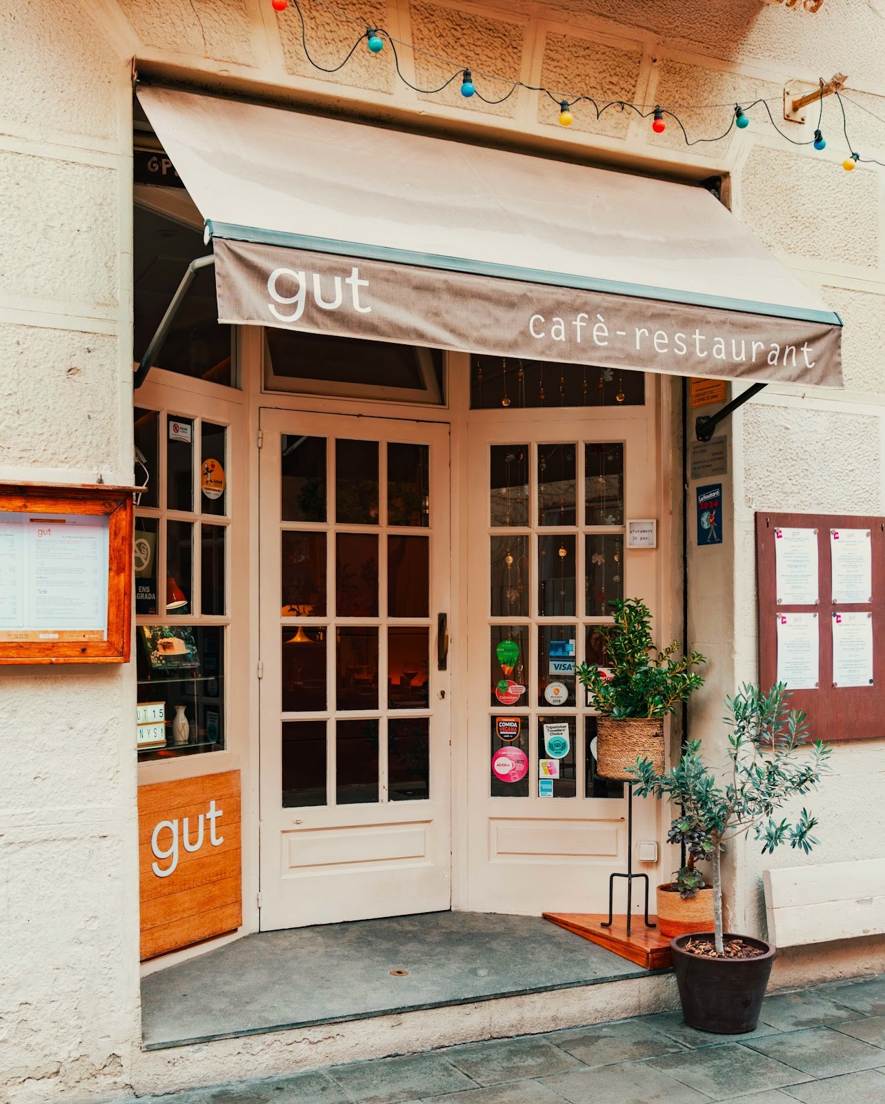 Gut: the place