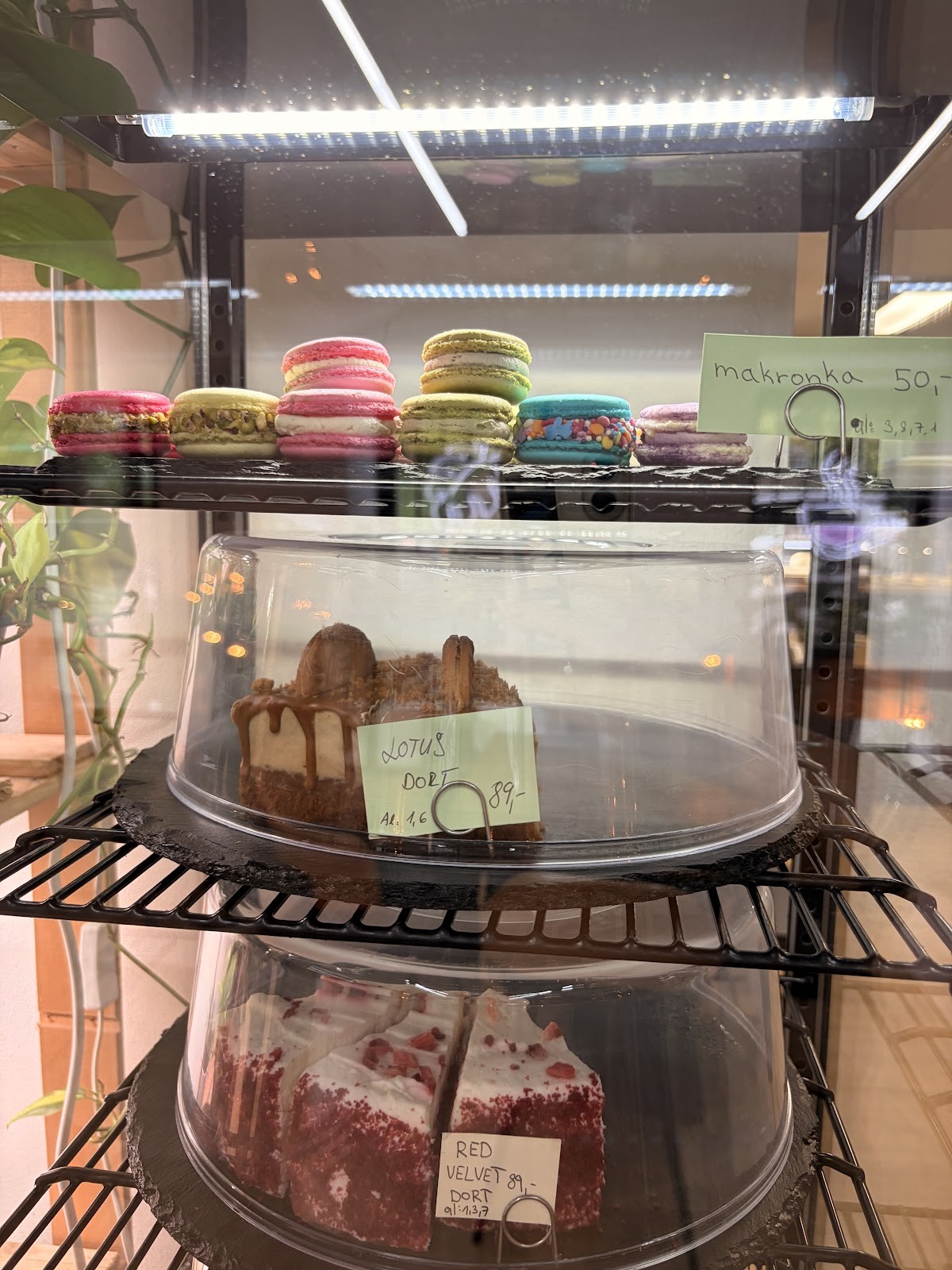 U Café: food & drinks