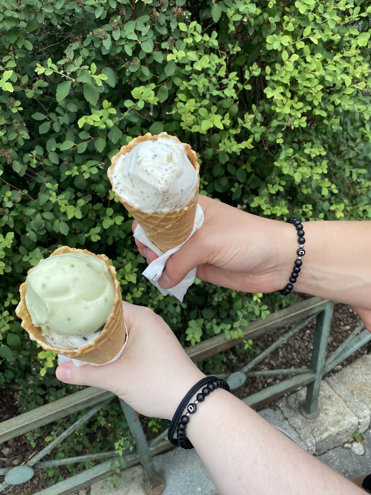 Veganista Ice Cream: food & drinks