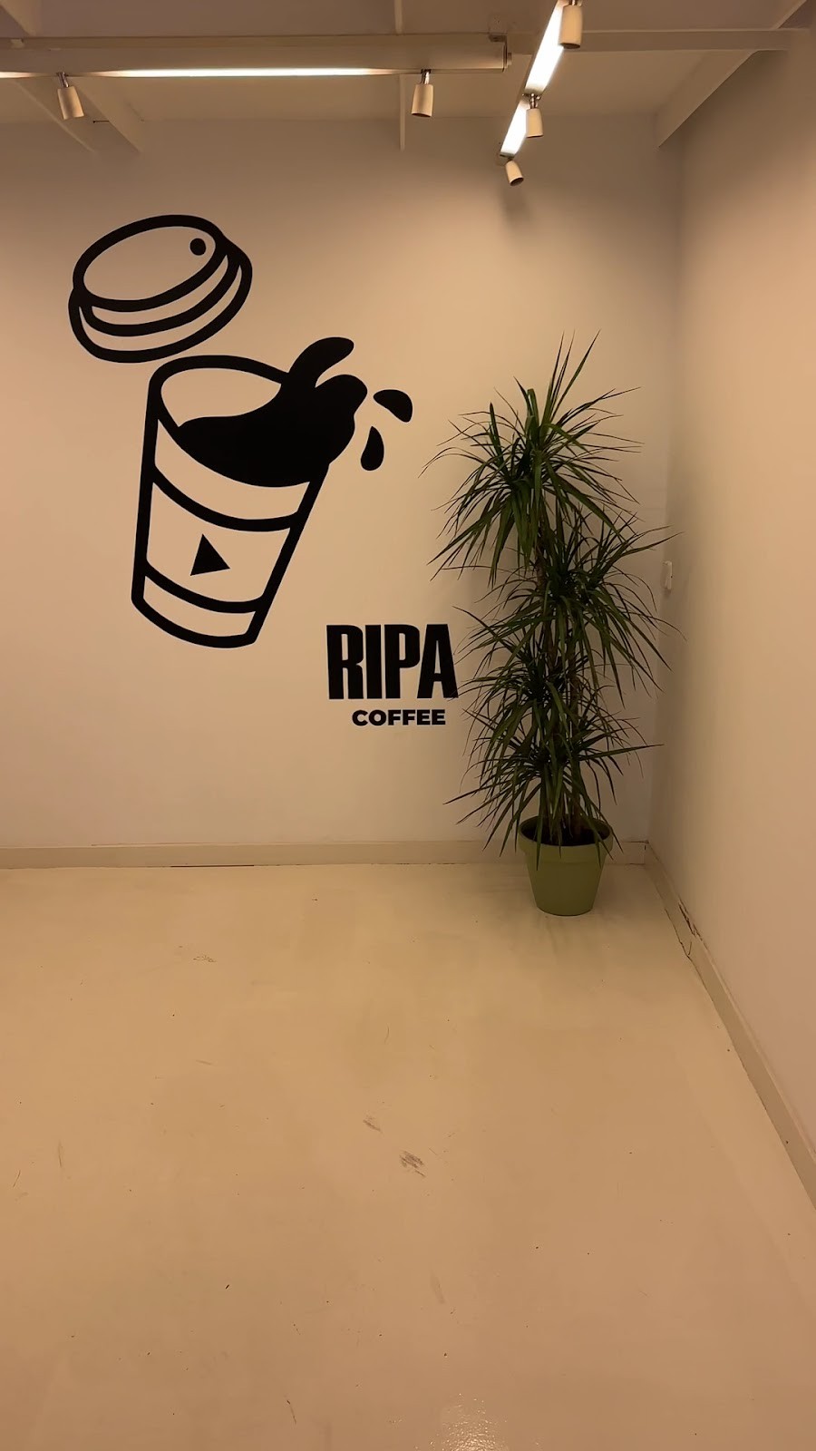 Ripa Coffee - Eixample: the place