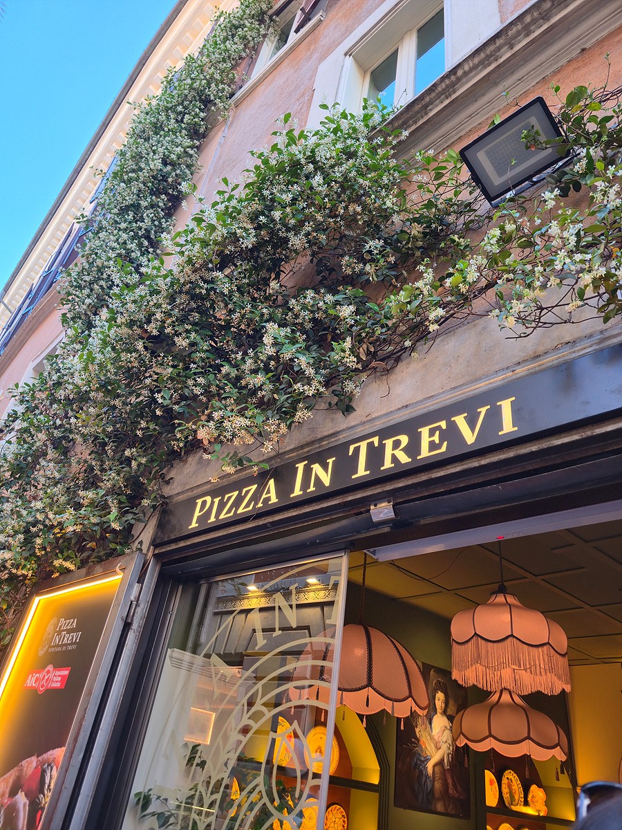 Pizza in Trevi: the place