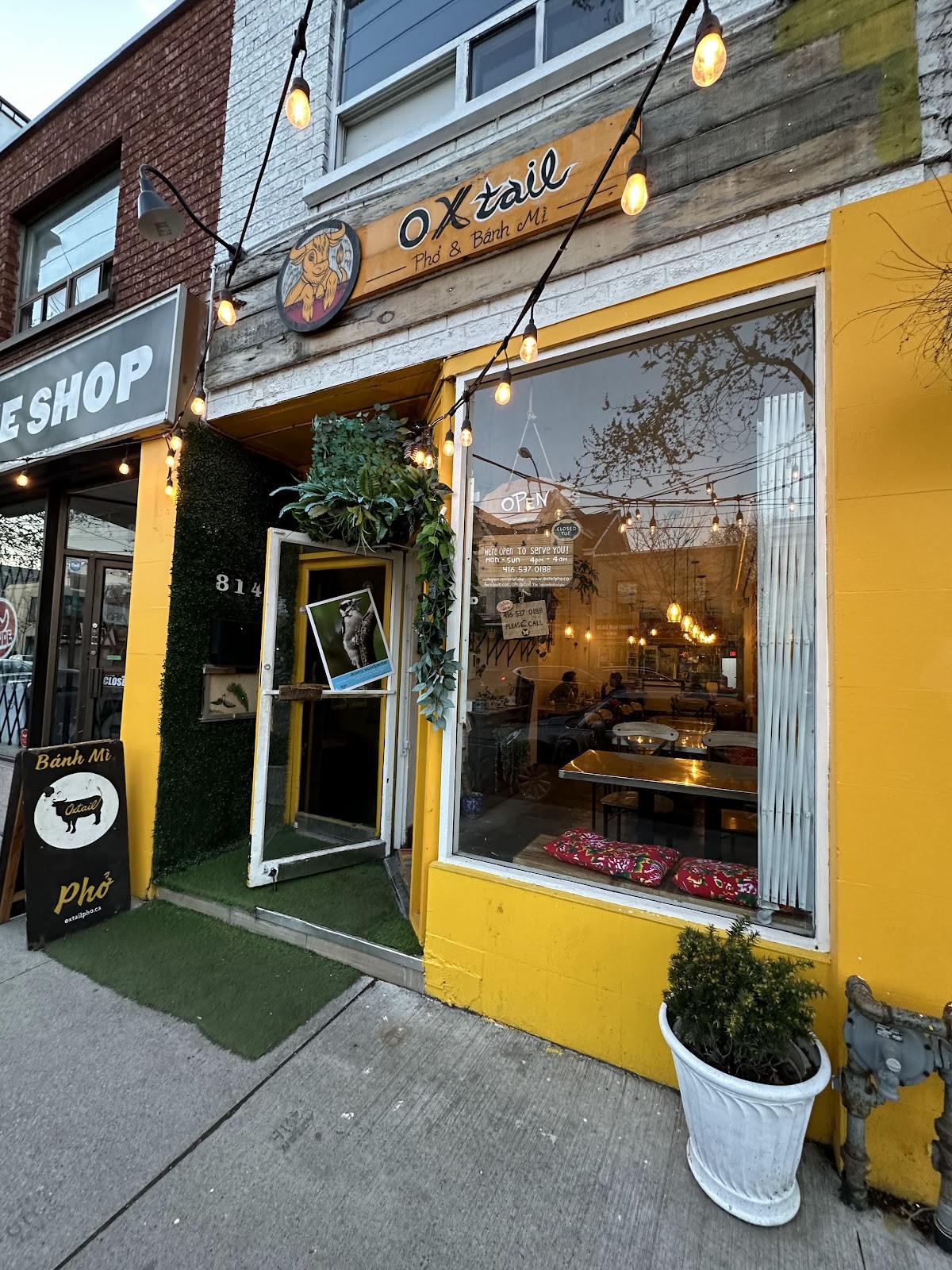 Oxtail Pho & Banh Mi: the place