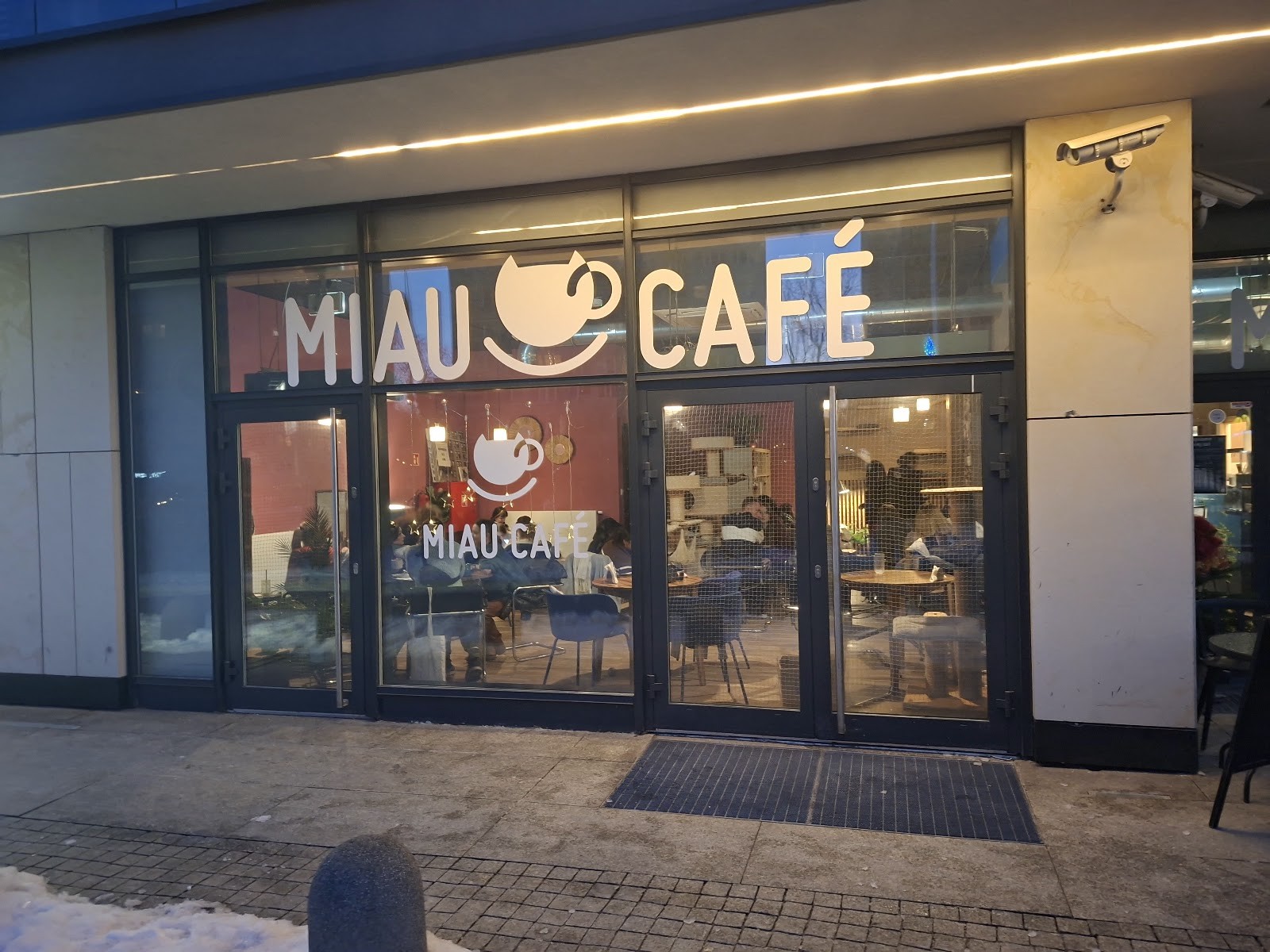 Miau Cafe: the place