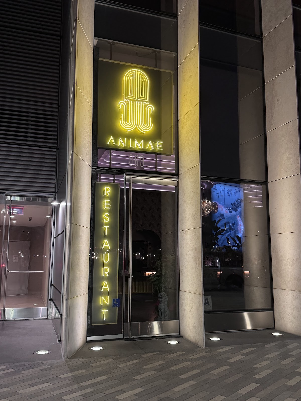 Animae: the place