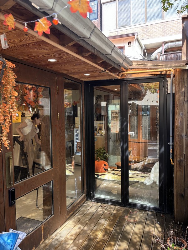 Sunnyhouse: photo 4