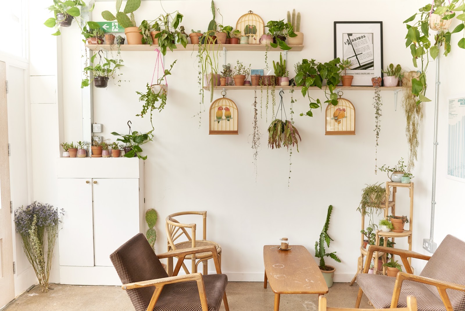 Albatross Café: the place