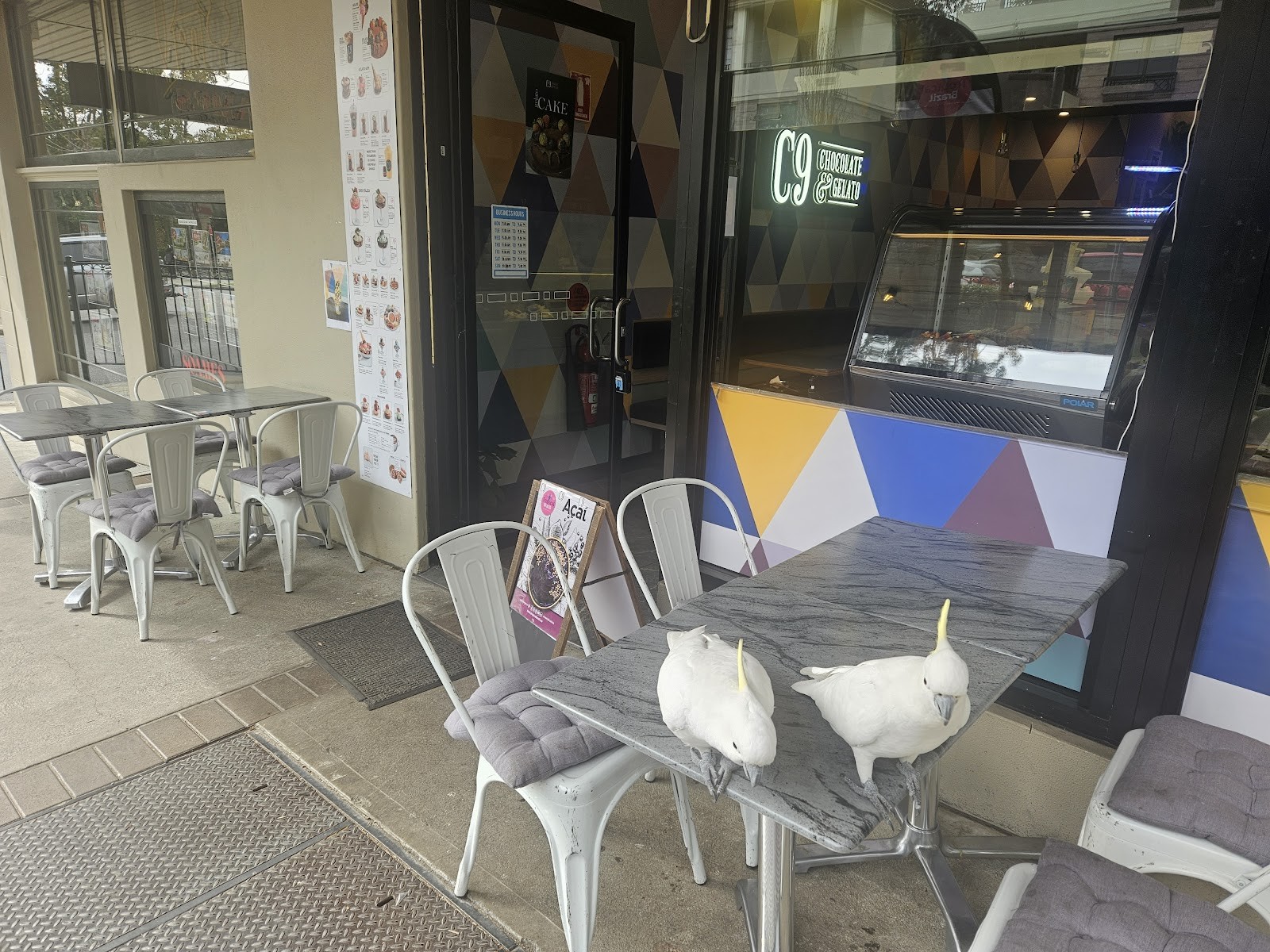 C9 Chocolate & Gelato Wahroonga: the place