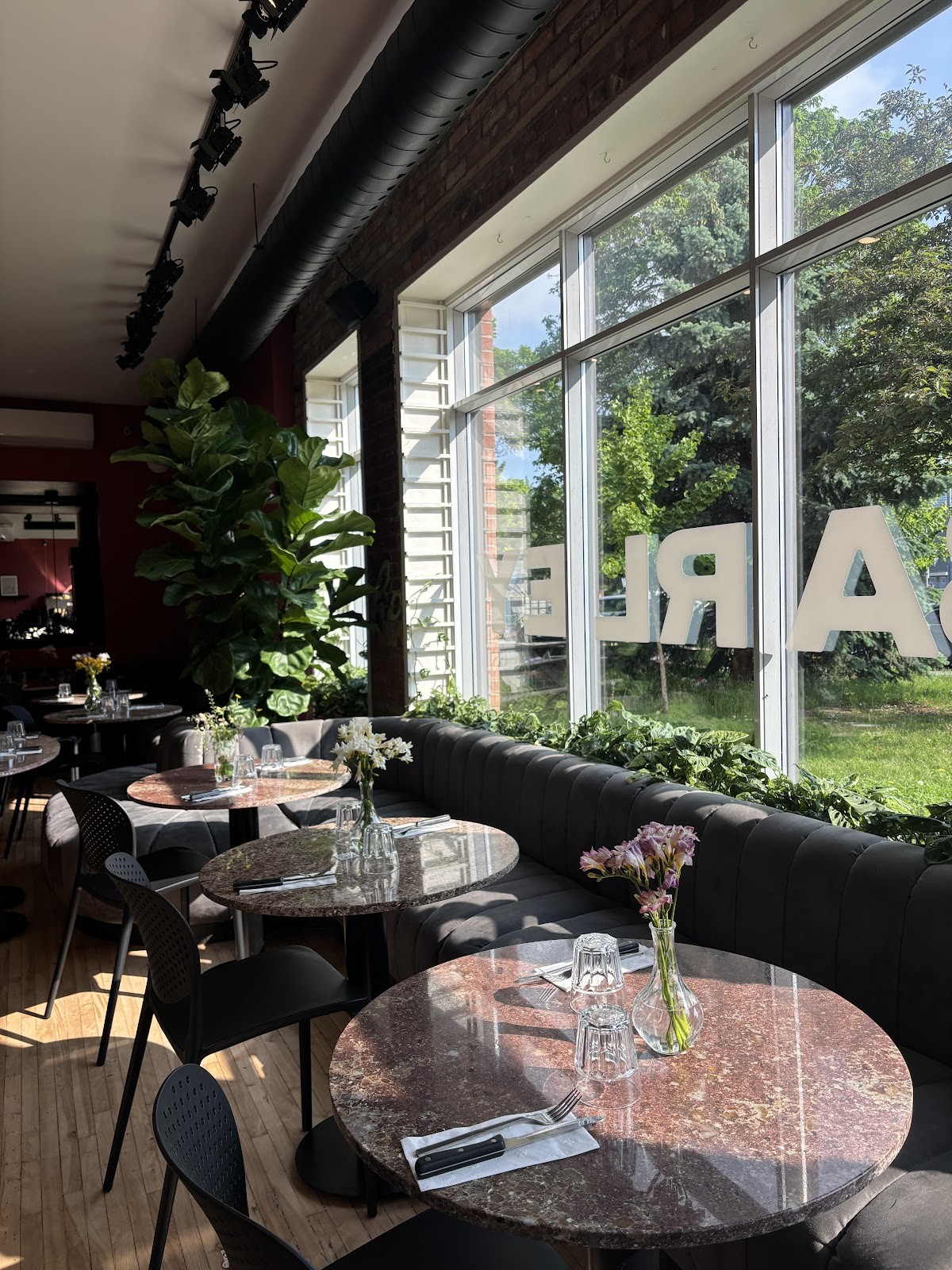 Barley: the place