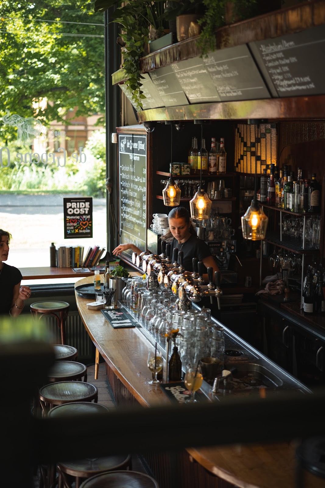 De groene olifant: the place
