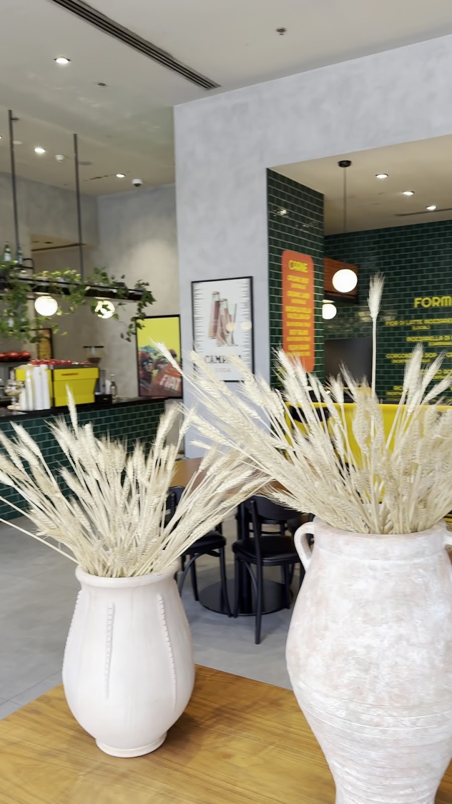 LOPO: the place