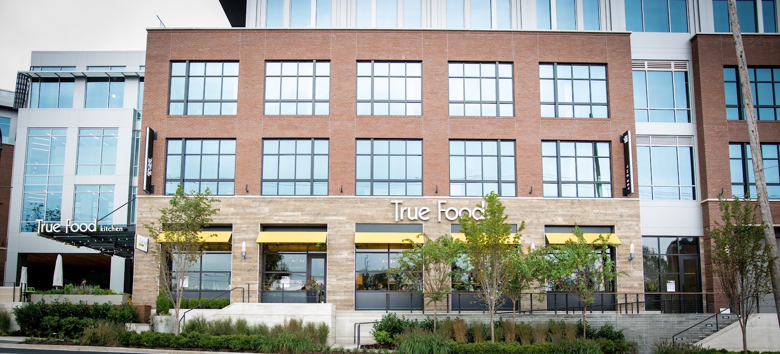 True Food Kitchen: the place