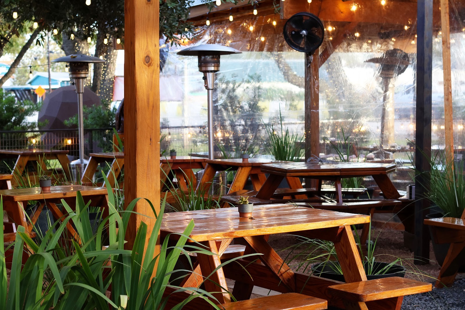 Llama Queen: the place