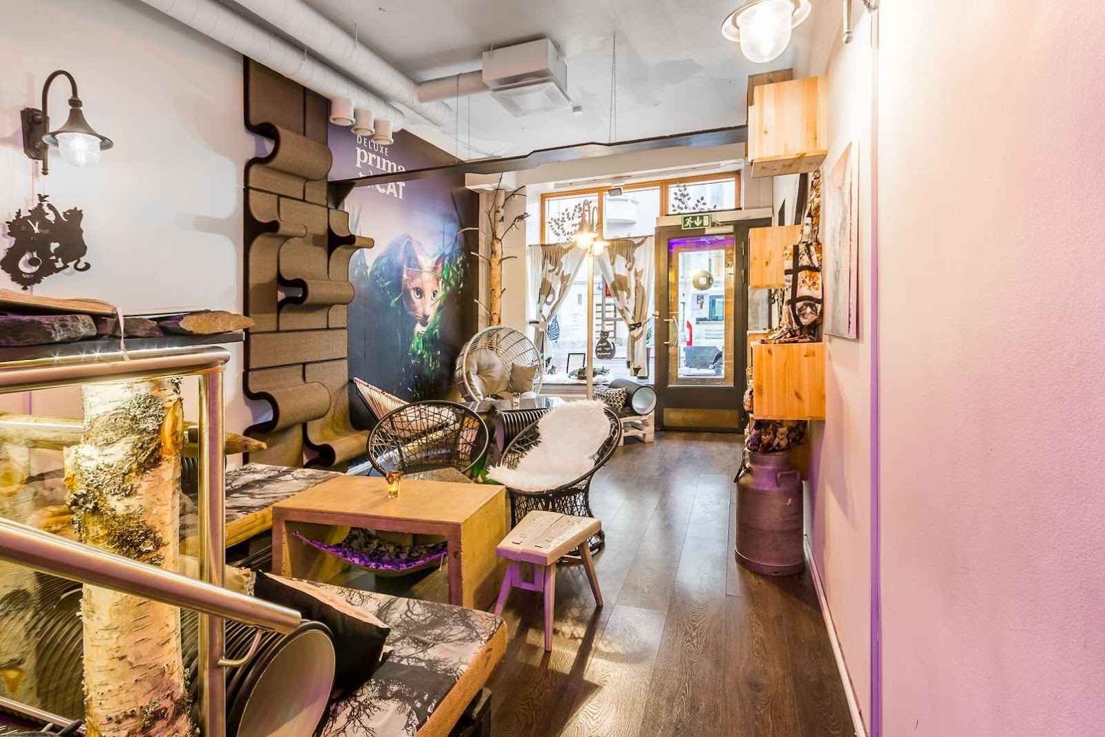 Helkatti Cat Cafe: the place
