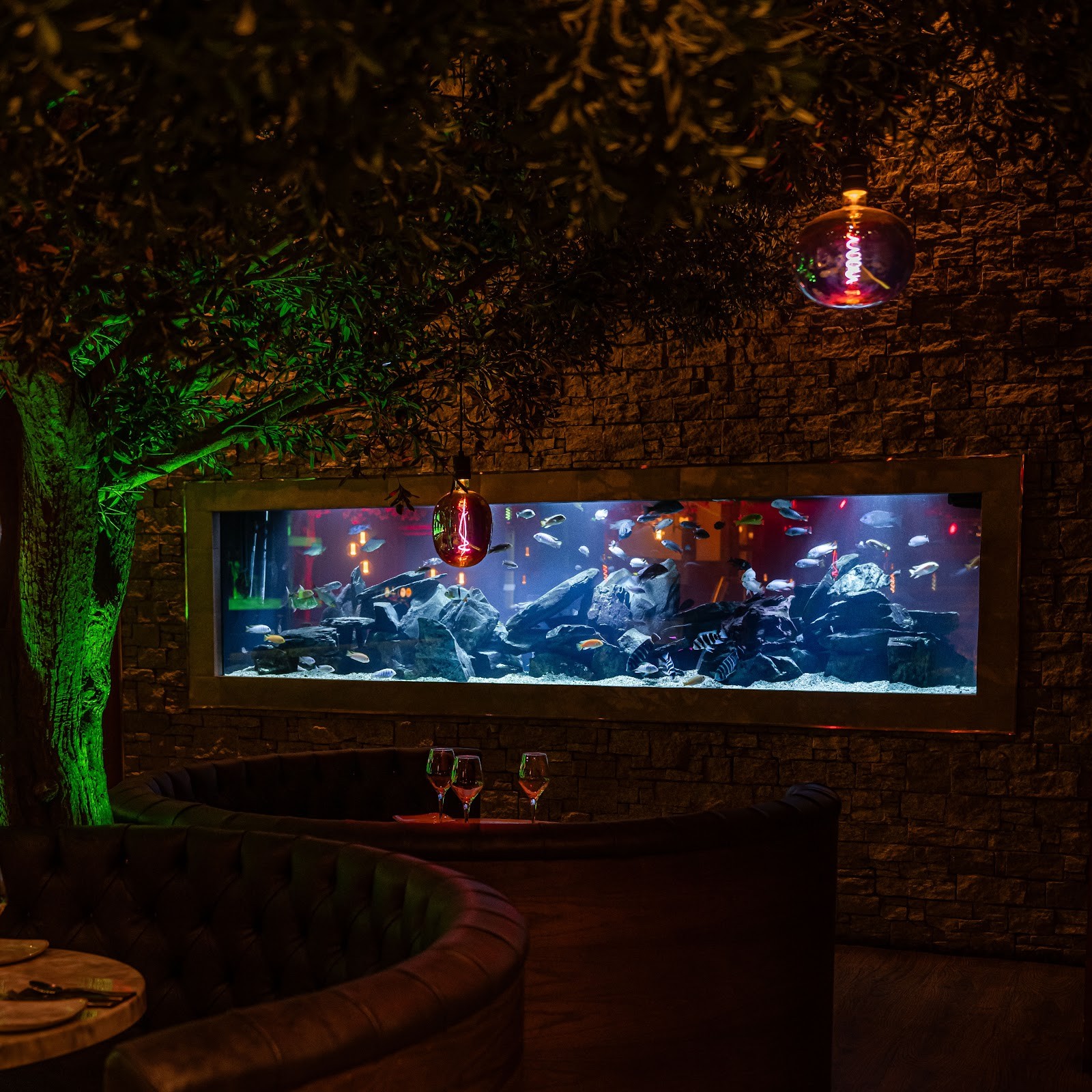 Akshaya - The Picture Drome: the place