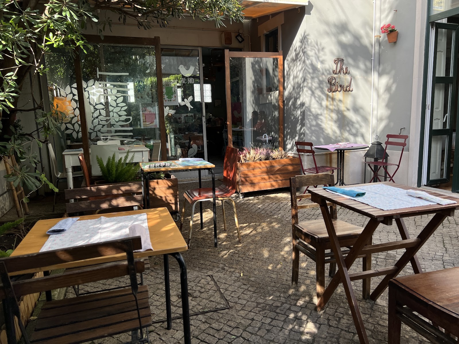 The Bird: the place
