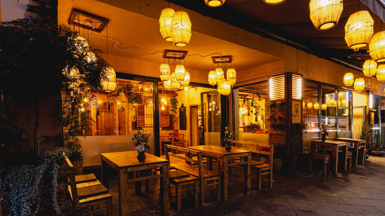 Ong Cat: the place