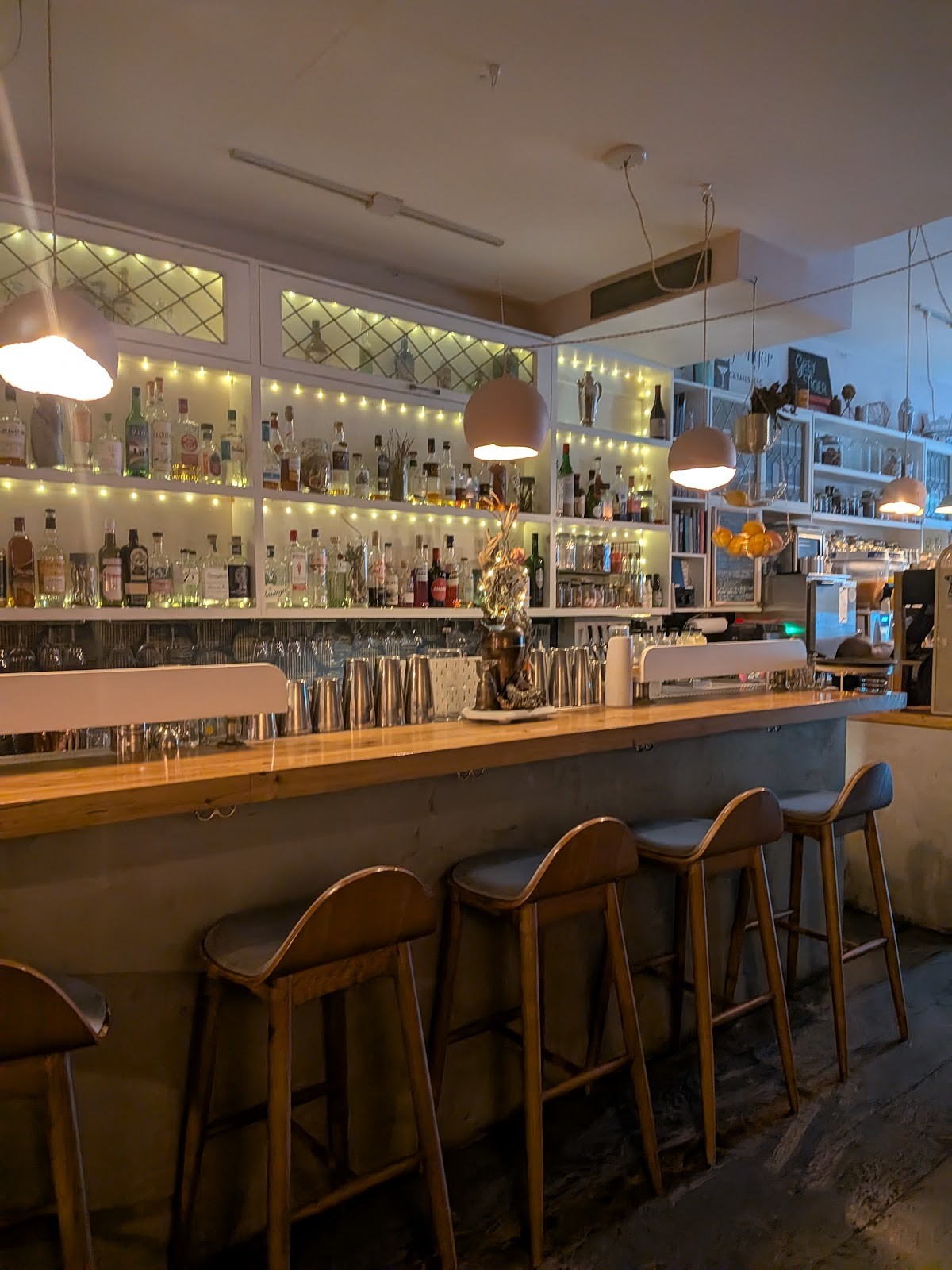 Grey Tiger: the place