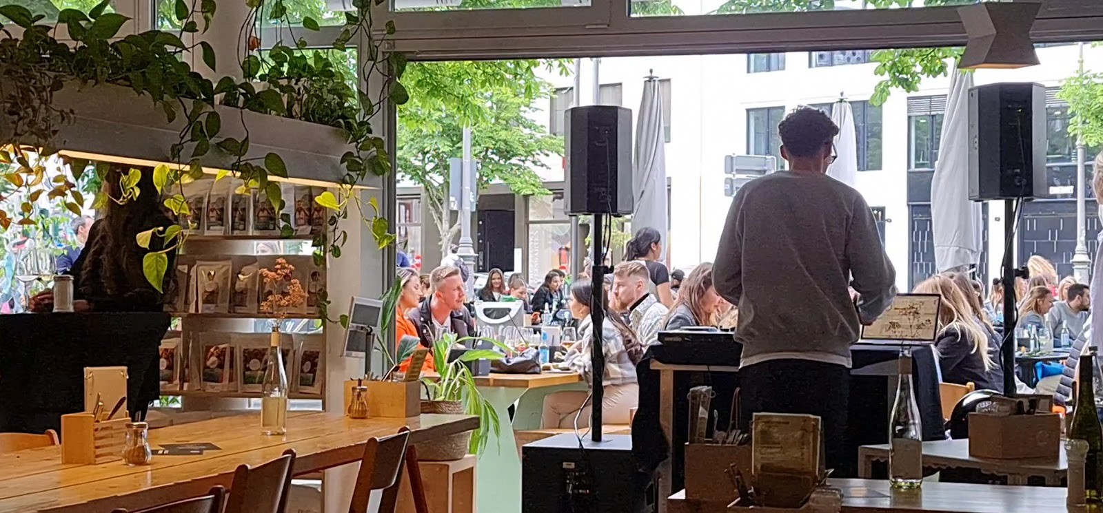 Kaffeesaurus: the place