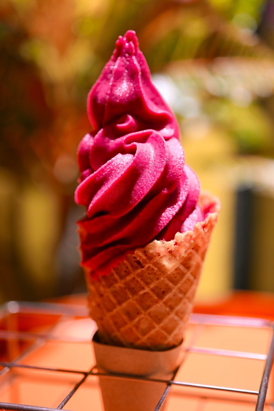 Rice 9 Gelato: food & drinks