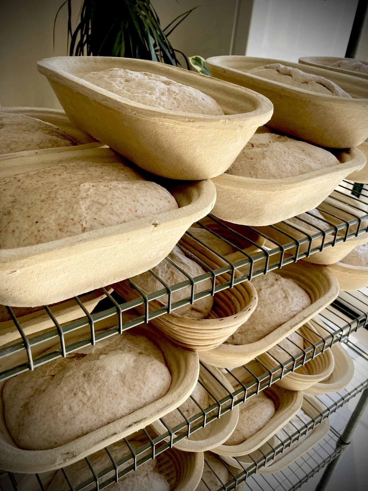 Treego • Padaria Artesanal Sourdough: food & drinks