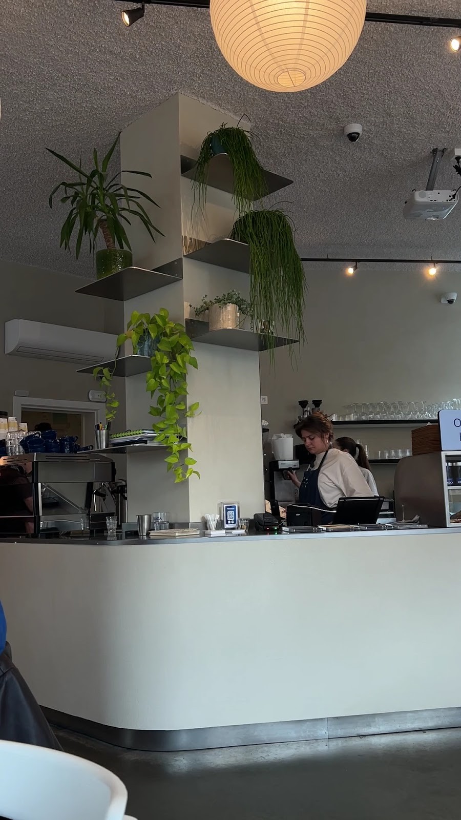Nordica 31: the place