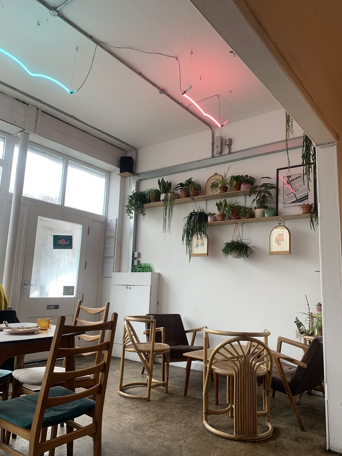 Albatross Café: the place