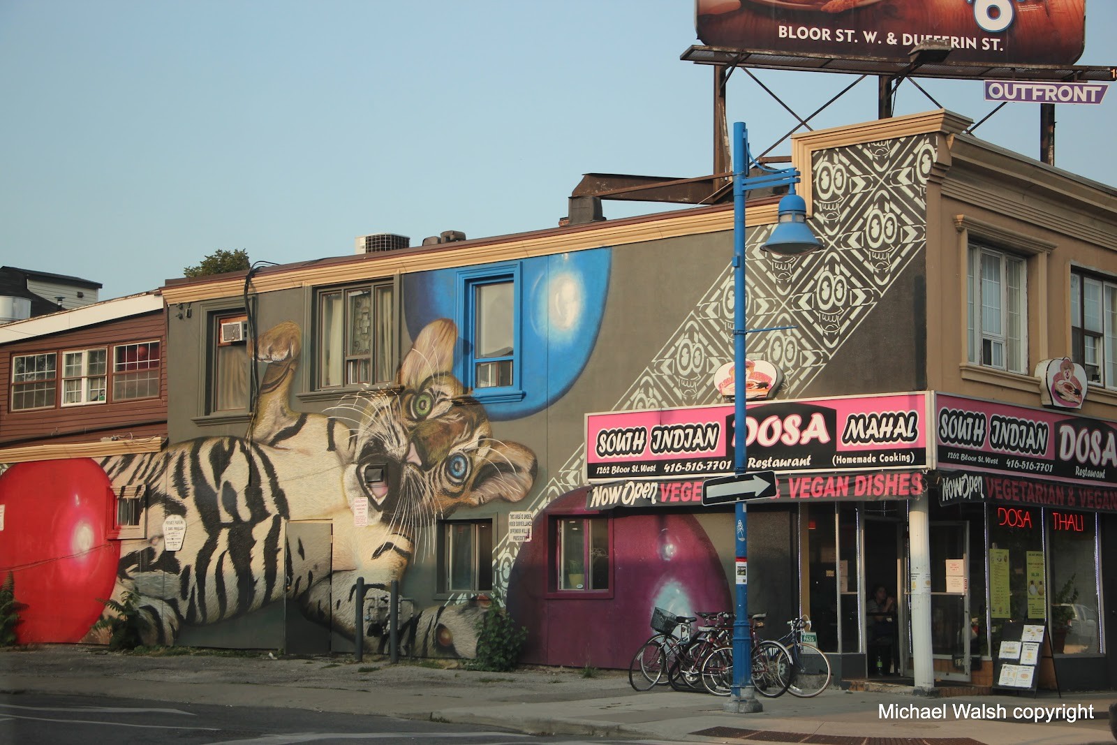 South Indian Dosa Mahal (Bloor/Lansdowne): the place