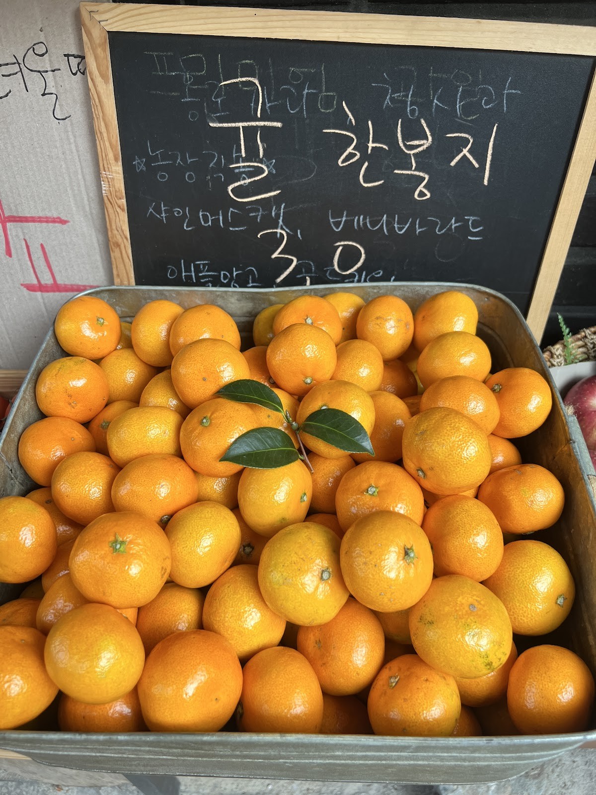 Ilgua Eat Fresh: food & drinks