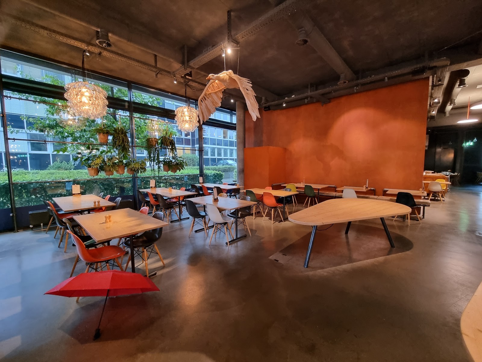 Daizy: the place