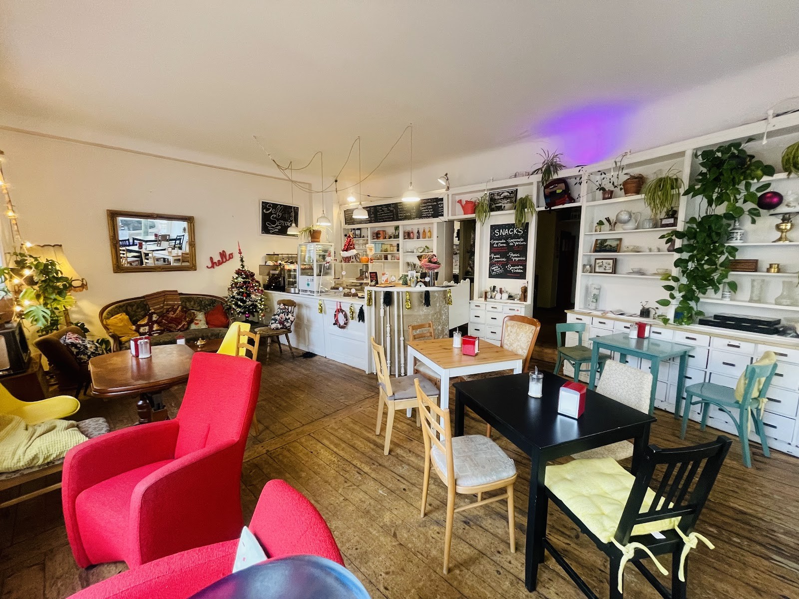 Cafe Senorita Ploff: the place