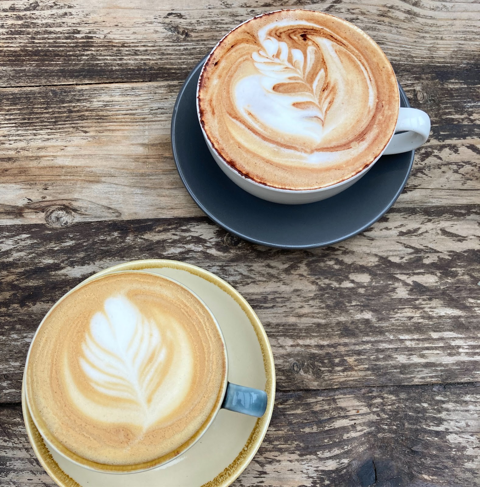 the muddy puddle: food & drinks