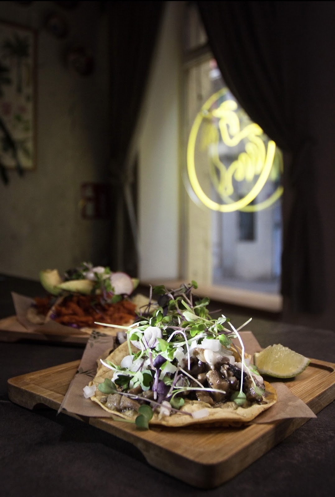 Gallo Santo: food & drinks