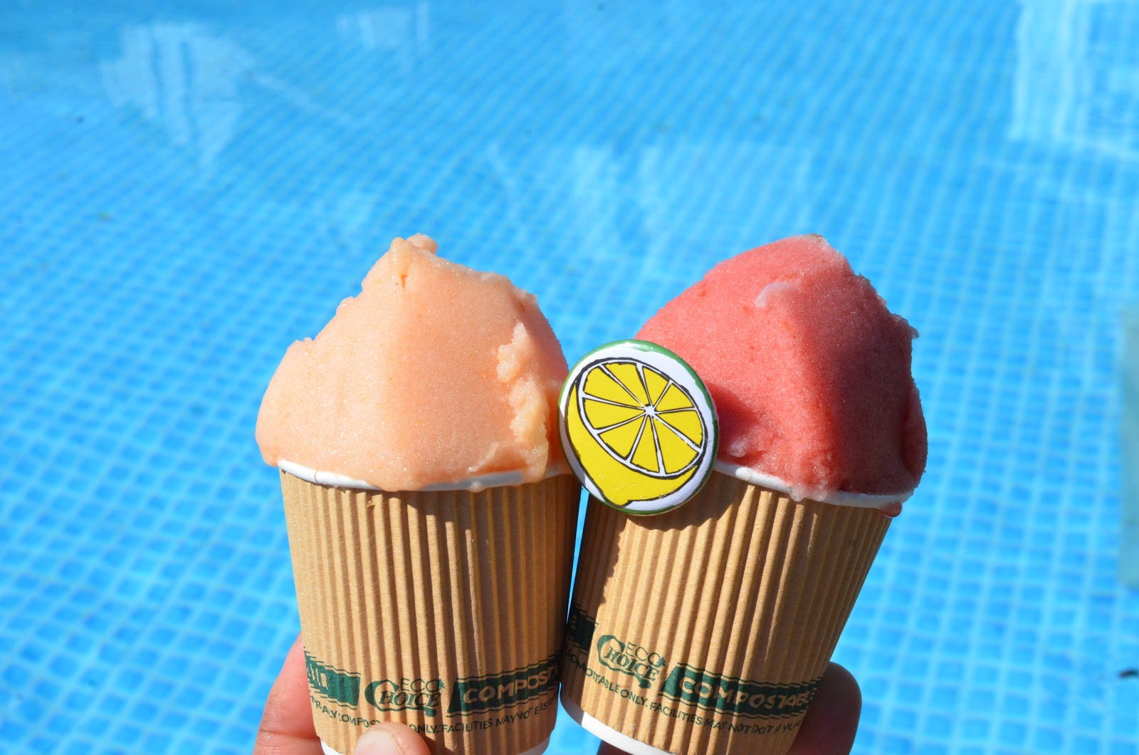 Miko's Italian Ice (Logan Square): food & drinks