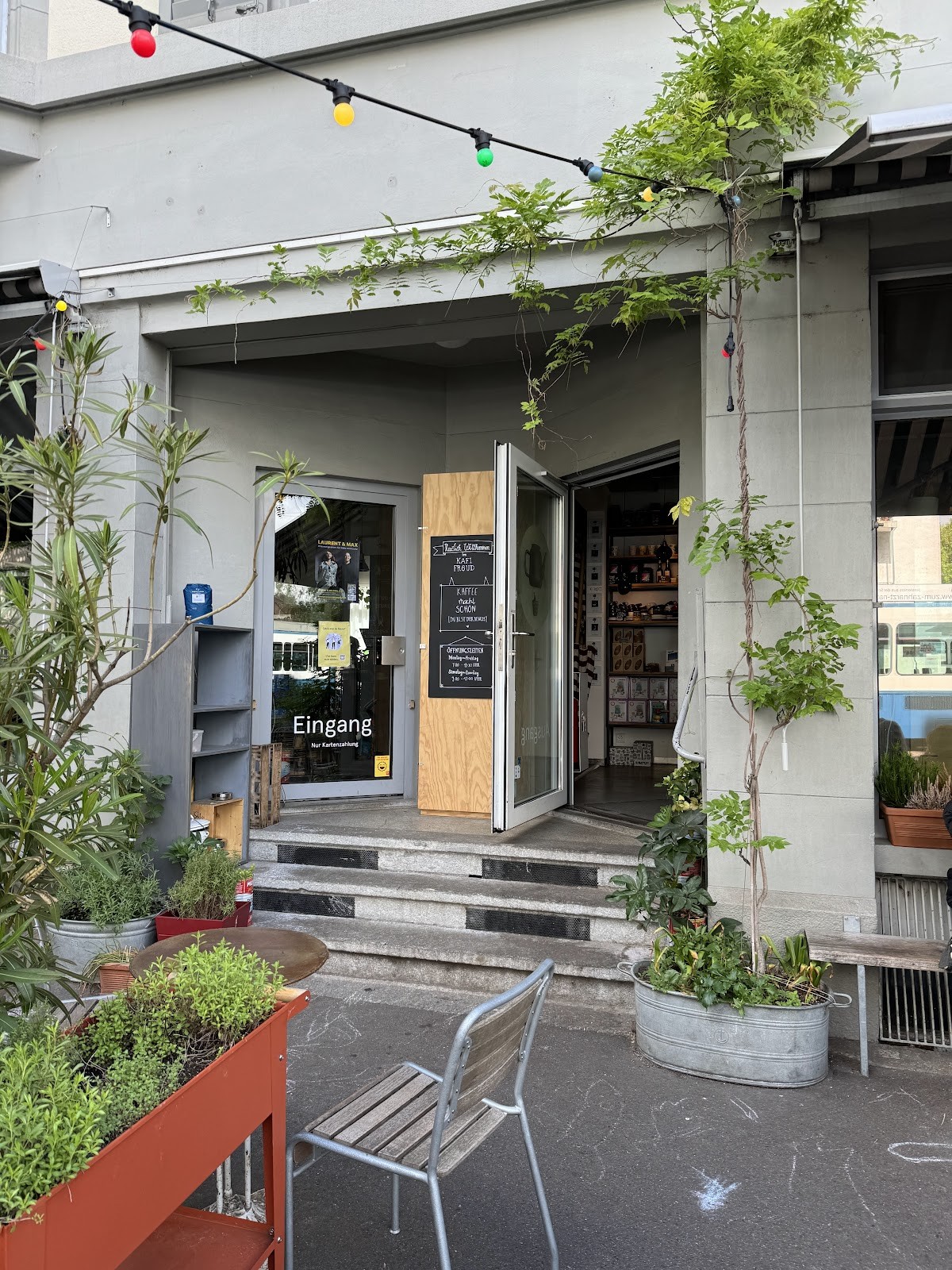 Kafi Freud: the place