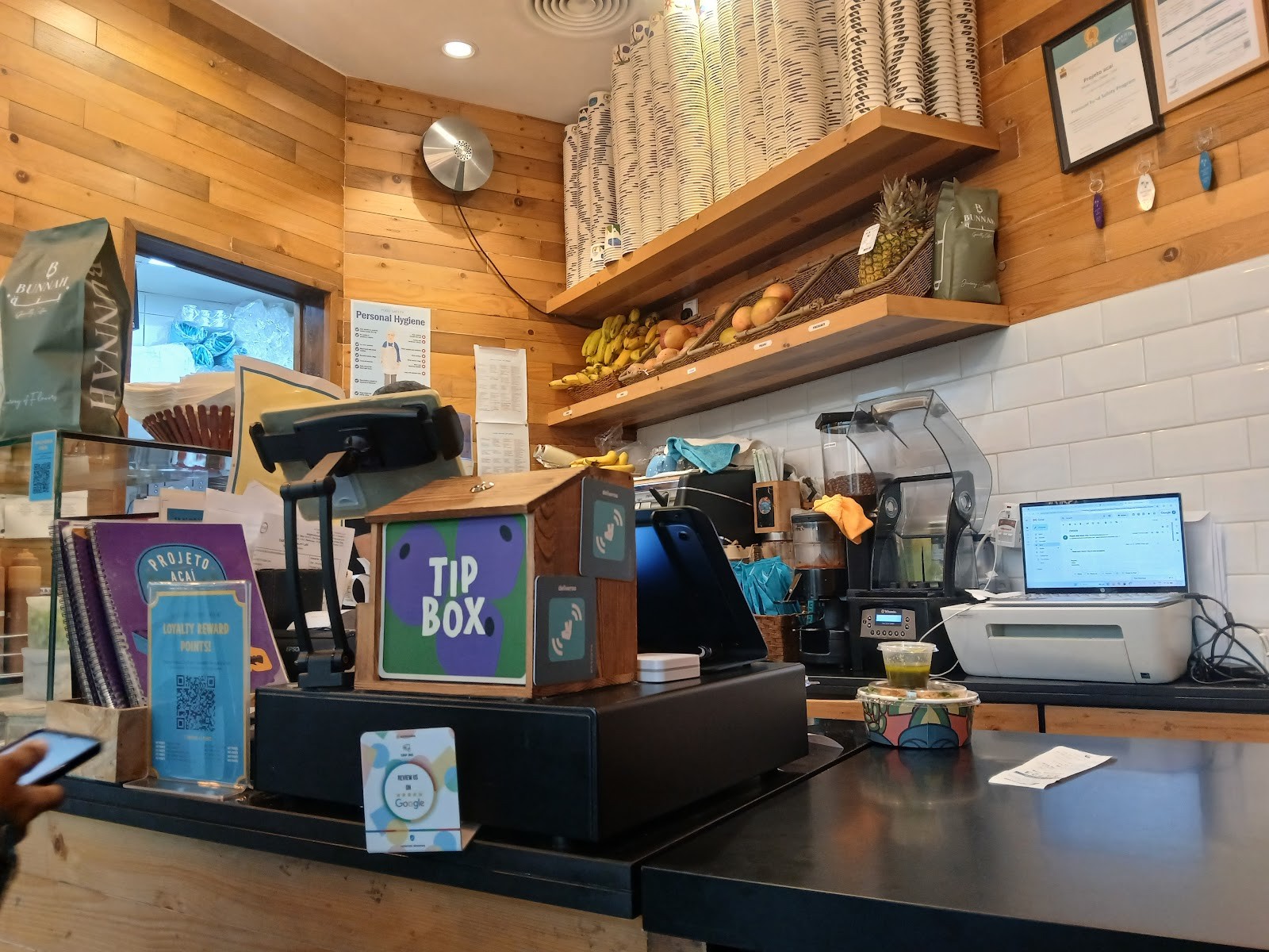 Projeto Acai: the place