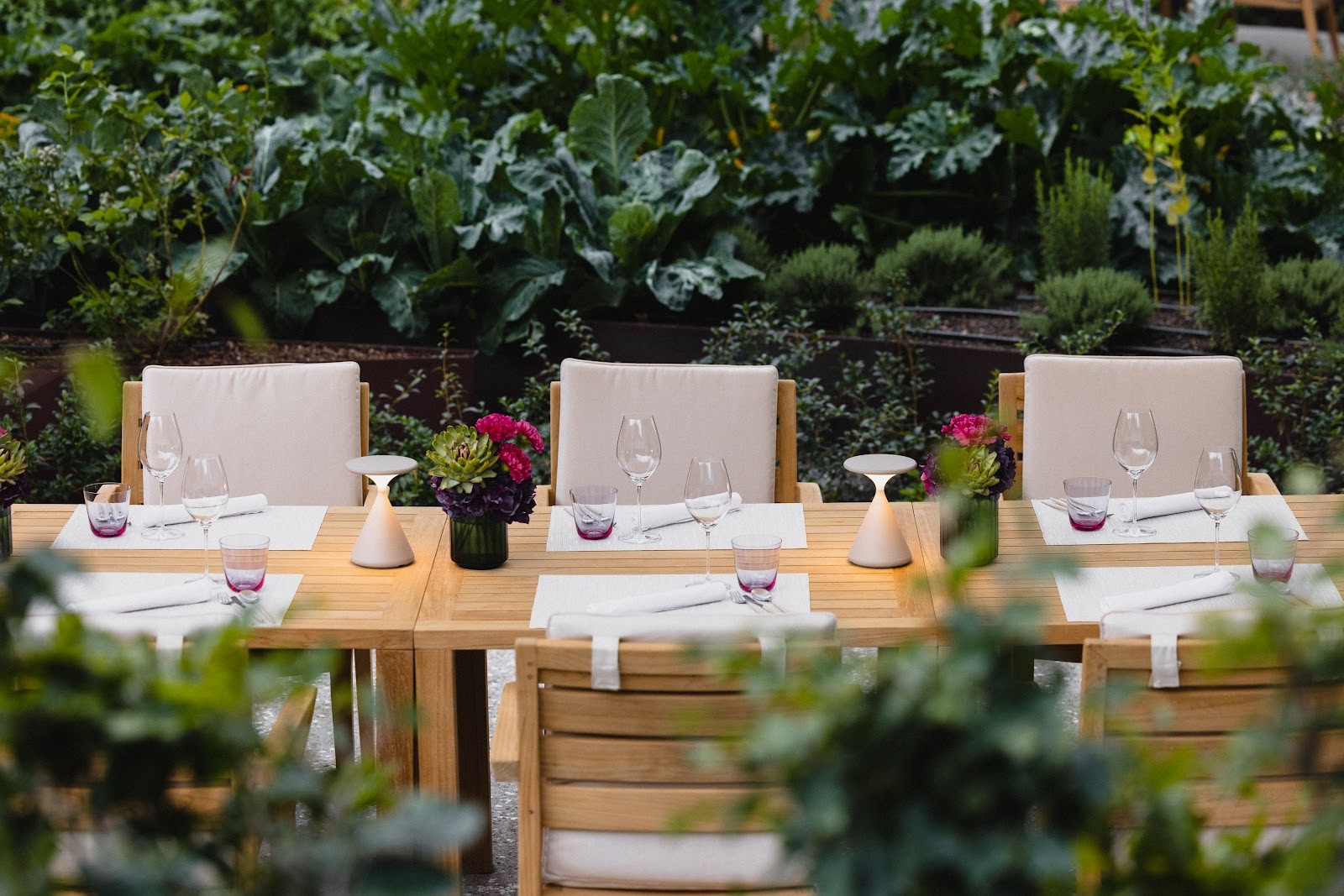 blooms: the place