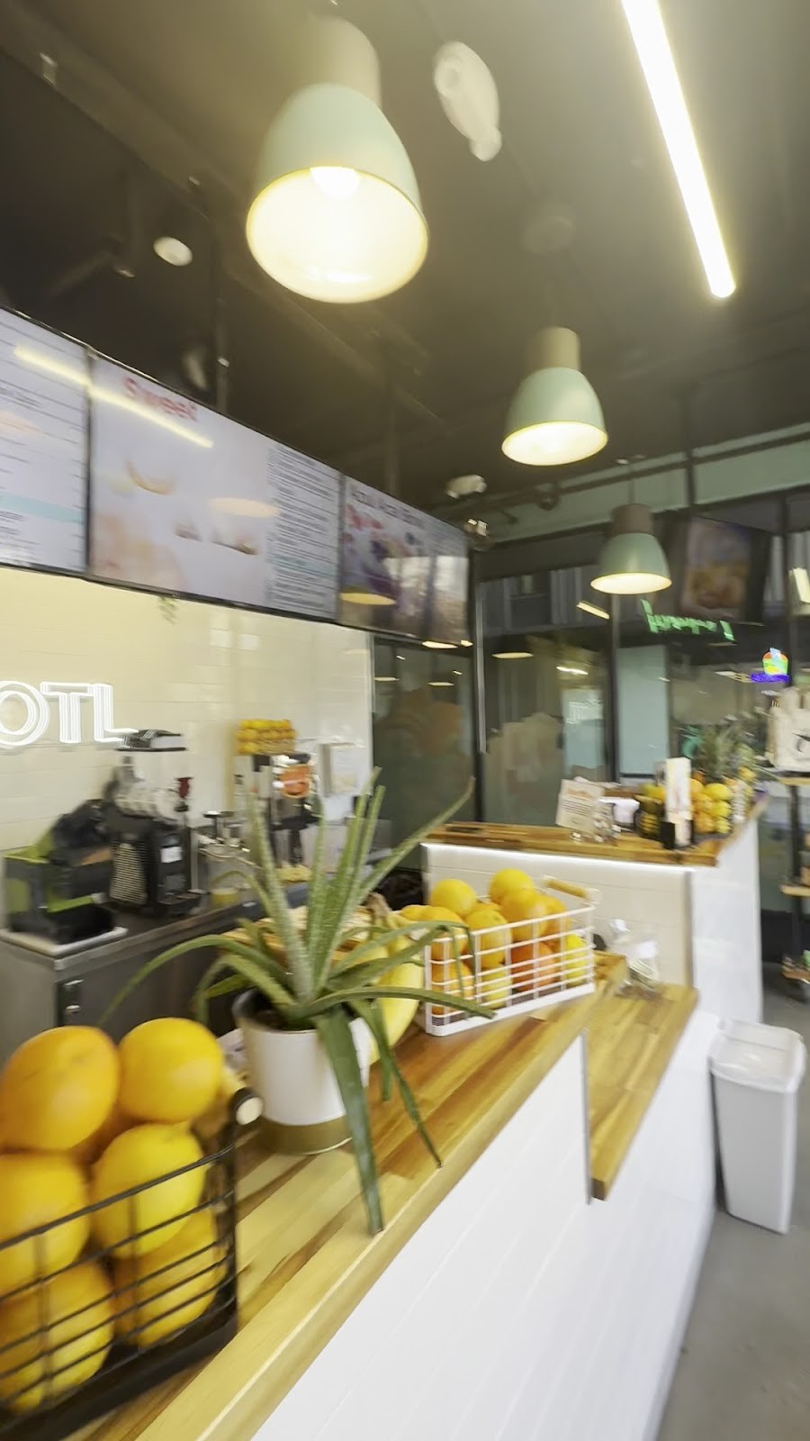 XOCOTL: the place