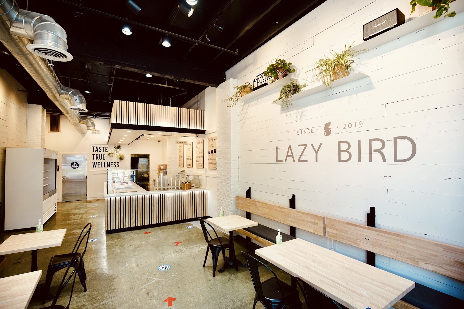Lazy Bird: the place