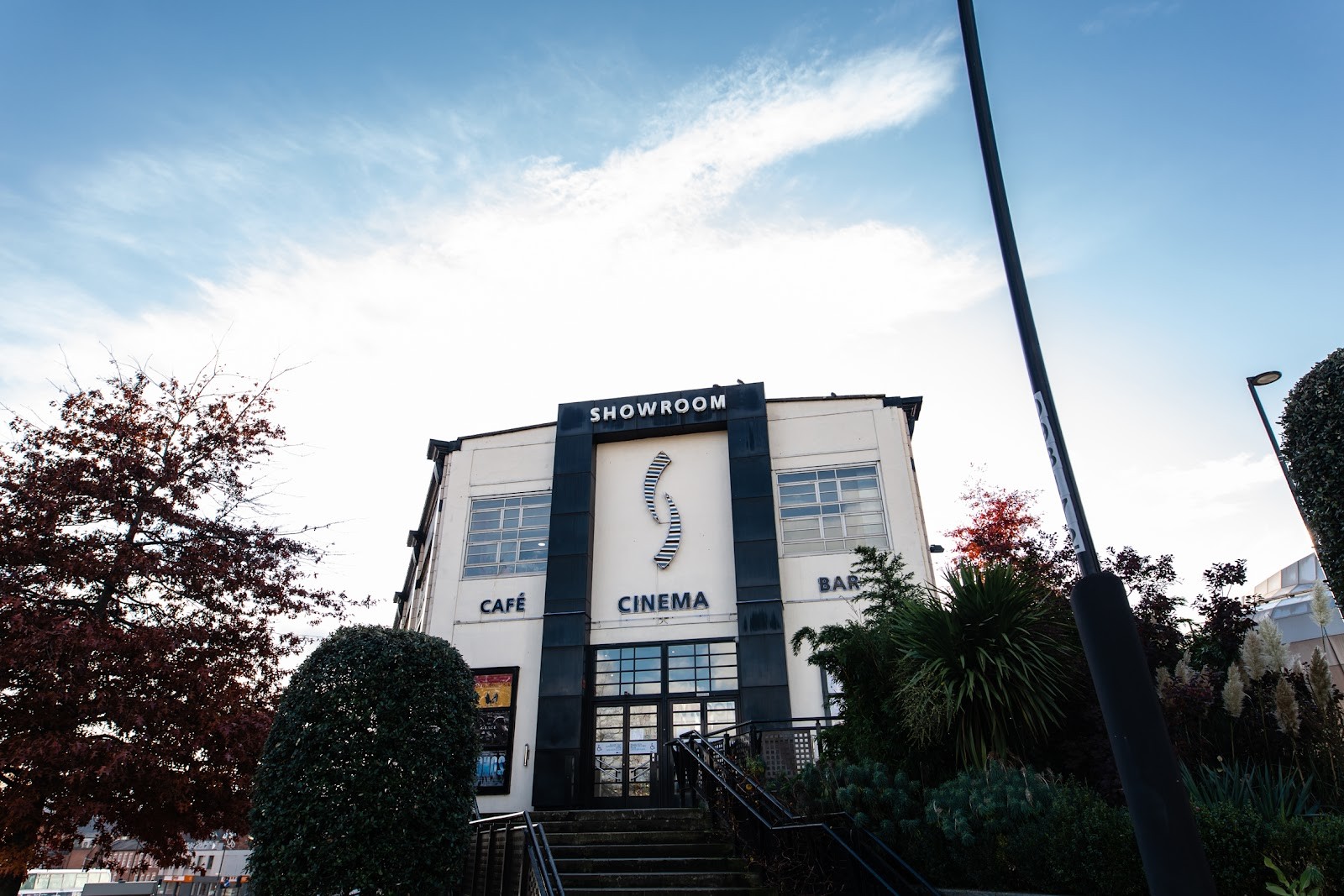 Showroom Cinema: the place